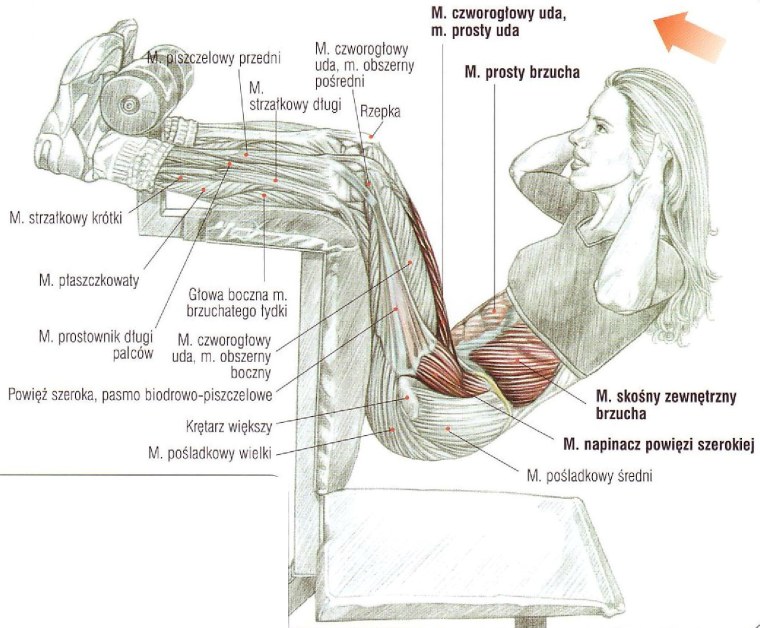 Поднимает тяжесть