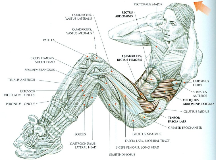 Достижение цели иллюстрация