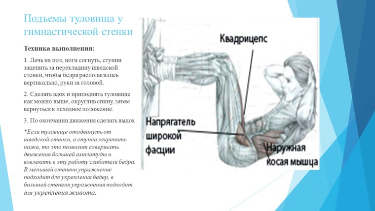 Передняя Дельта упражнения в тренажерном зале