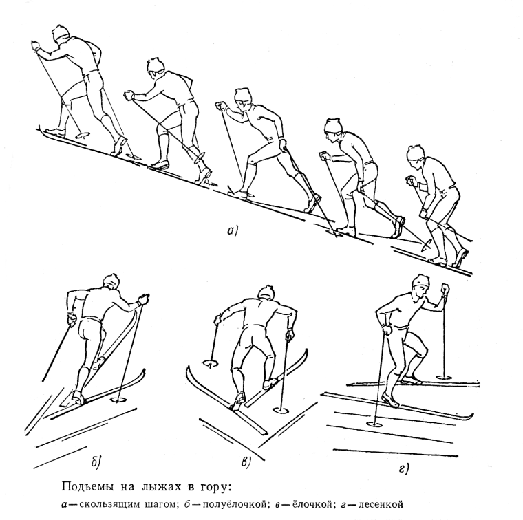 Способы подъема в горку на лыжах
