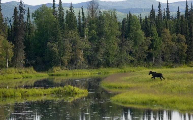 Заповедник Нургуш Лось
