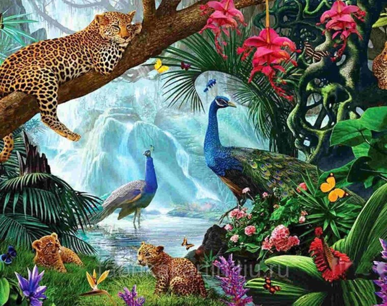 Тропические леса с животными