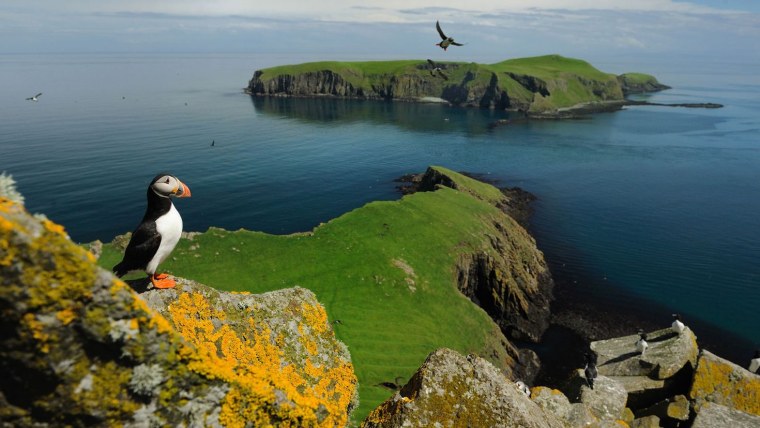 Гебридские острова