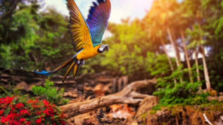 Телевизор NORDSTAR NSTV-2801 28"