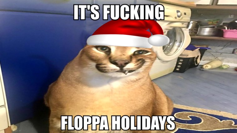 Каракал шлёпа