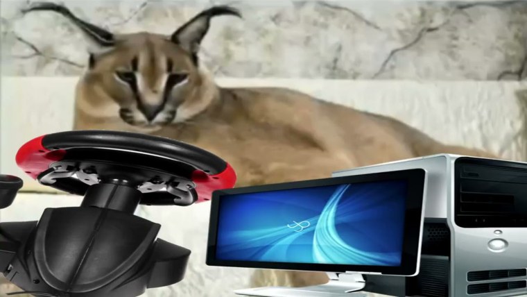 Шлëпа геймер кот