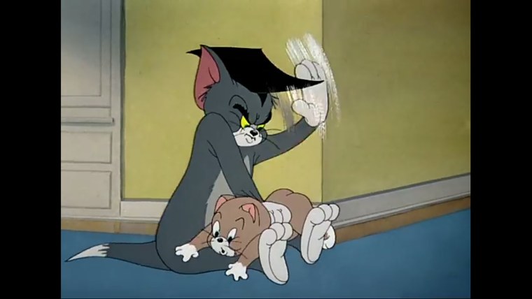 Бонго кот гиф