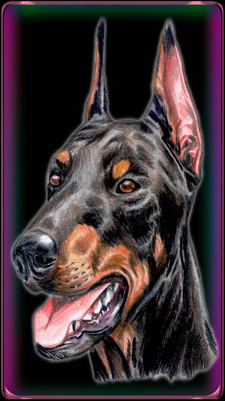 Фурри Доберман