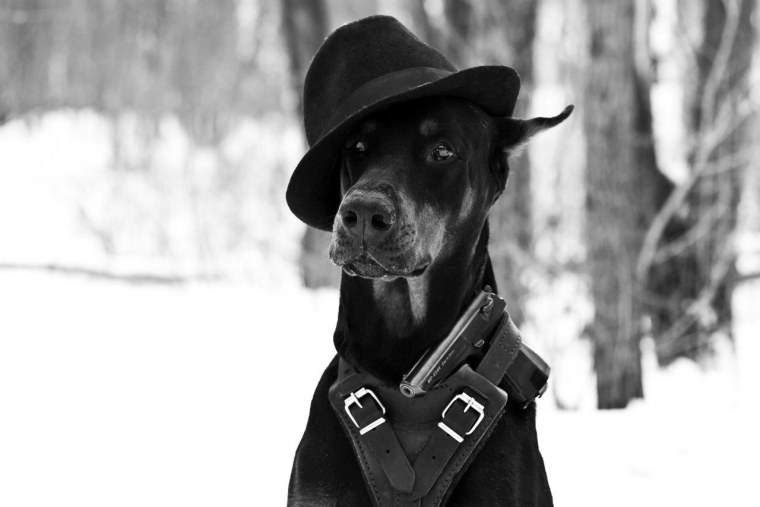 Мира Райз Доберман