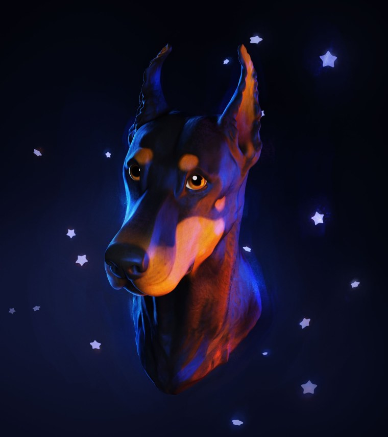 Доберман черный оскал