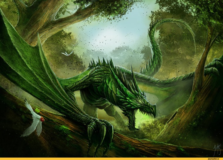 Брим зелёный дракон