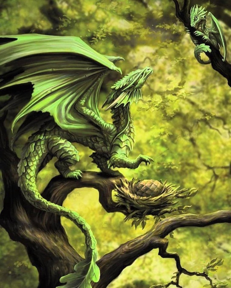 Брим зелёный дракон