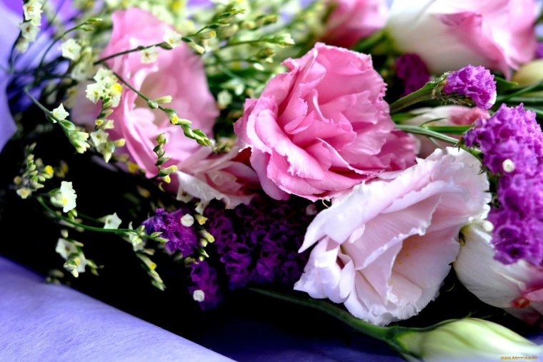 Красивые цветы