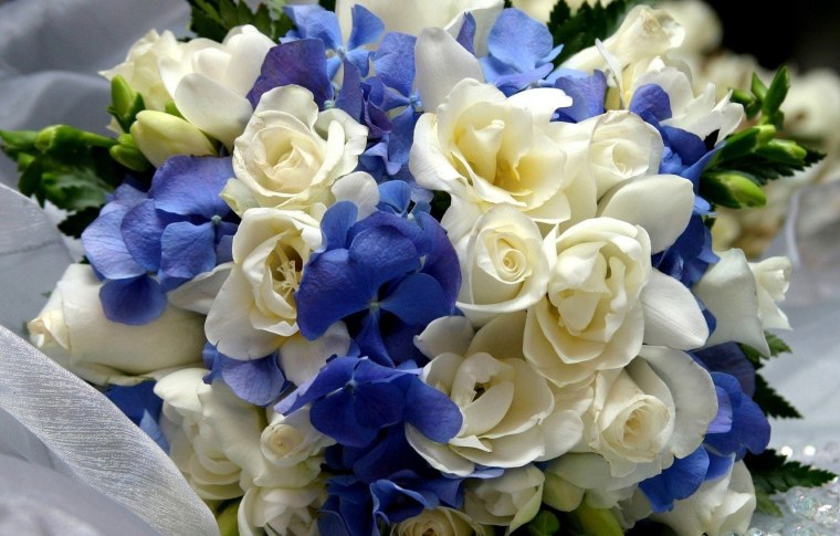 Фрезия (Freesia)