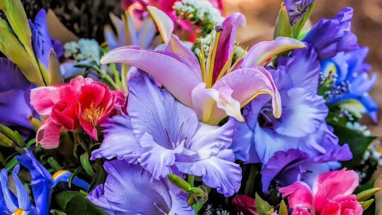 Ирисы и гладиолусы