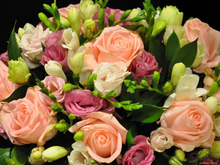 Шикарные цветы