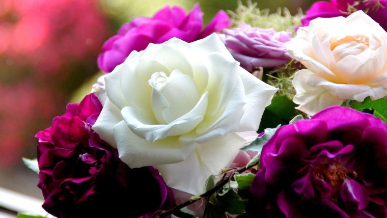 Роскошные розы