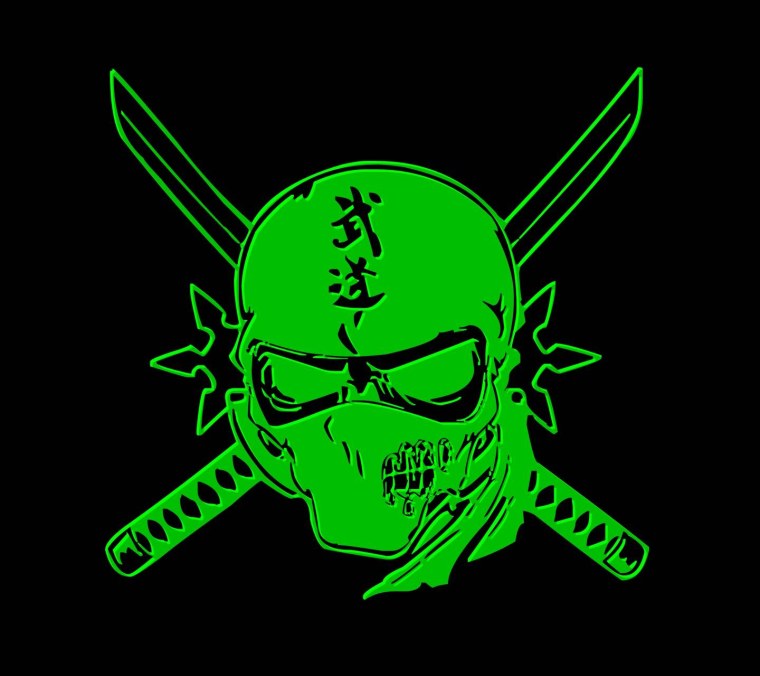 Аватары ниндзя