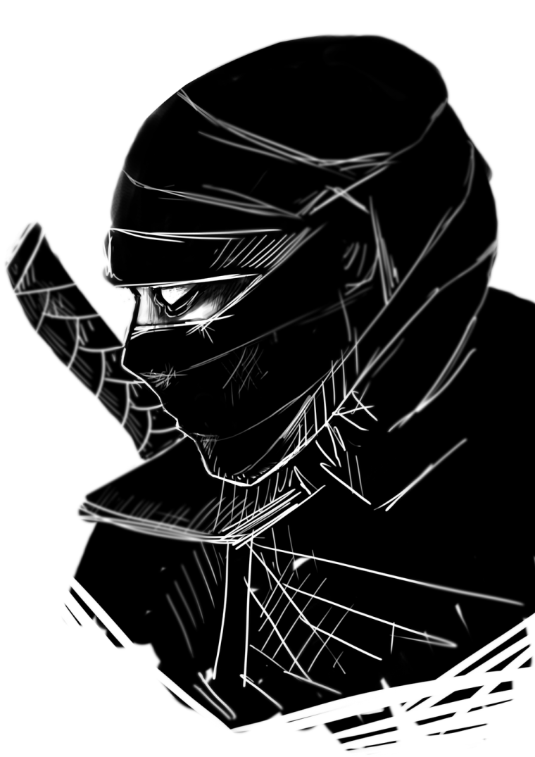 Клан теней ниндзя