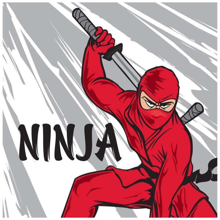 Ninja аватарка