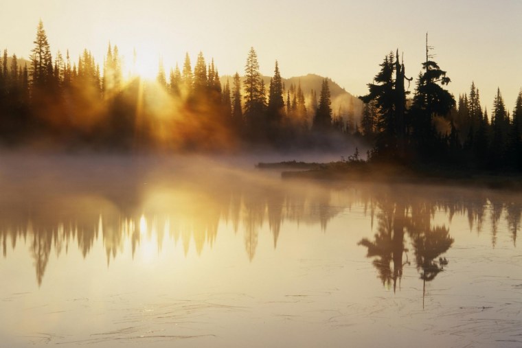 Зимний рассвет