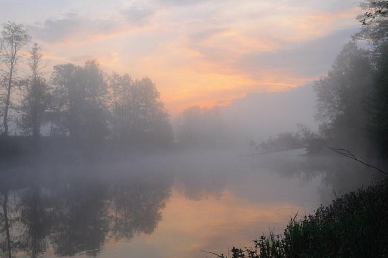 Утренний туман