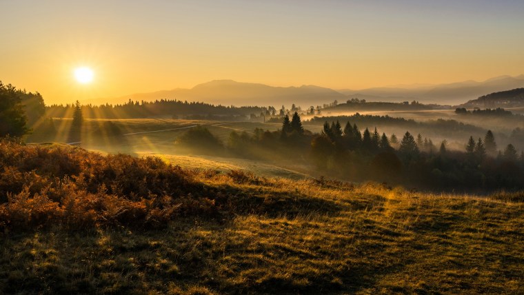 Фёдор Лашков фотограф