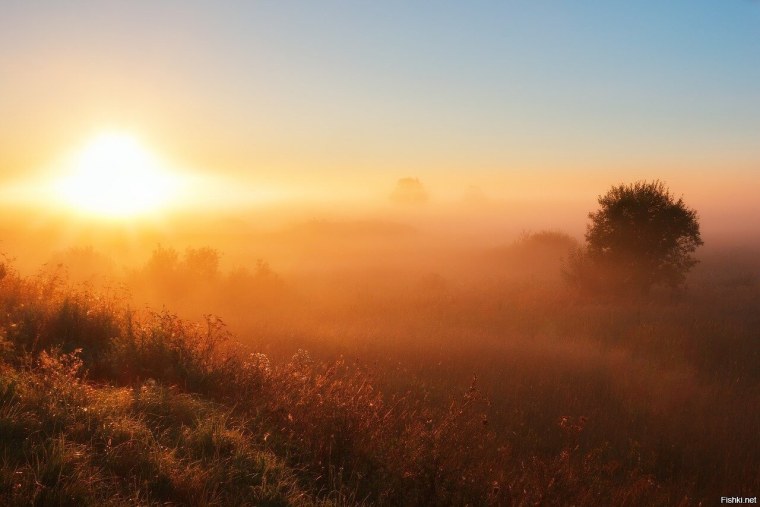 Утренний туман