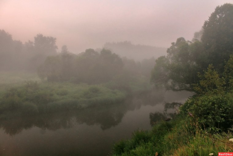 Утренний туман