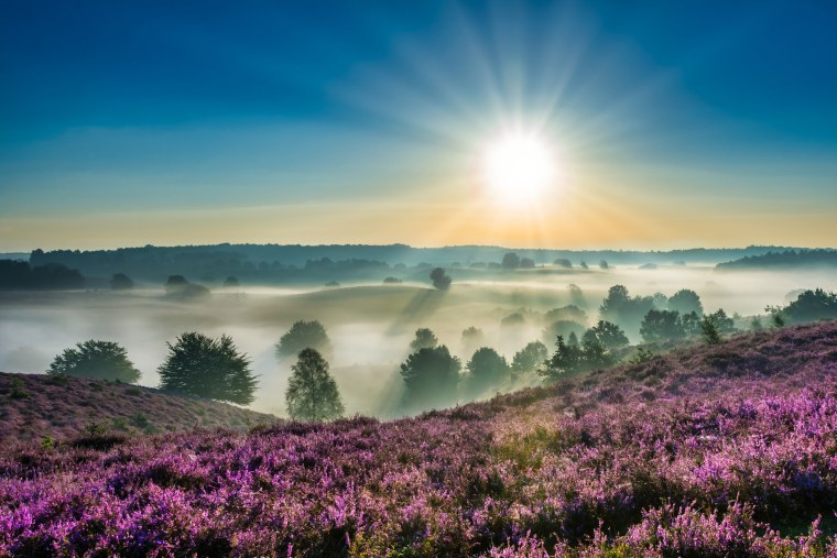 Пейзаж туман