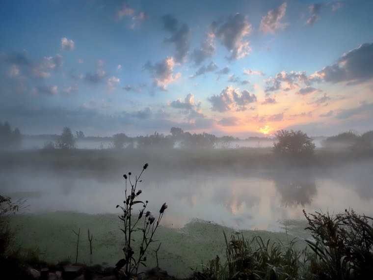 Зеленый луг рассвет