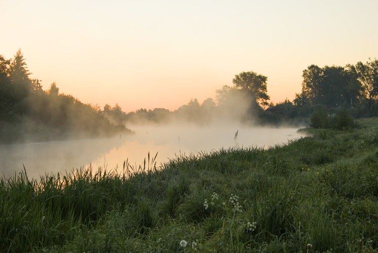 Туманный рассвет в деревне