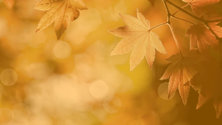 Яркий осенний фон