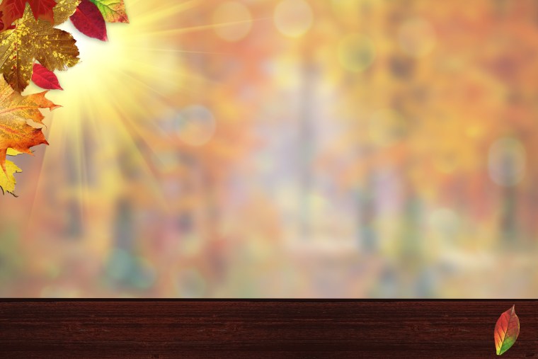 Осень листья