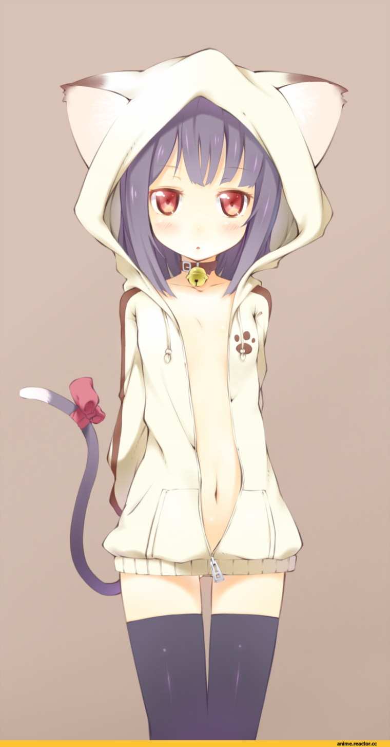 Милые аниме девушки с ушками