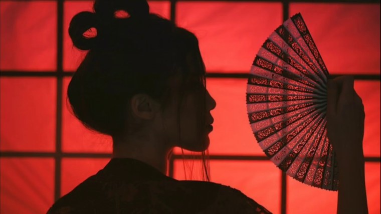 Эстетикс гейши