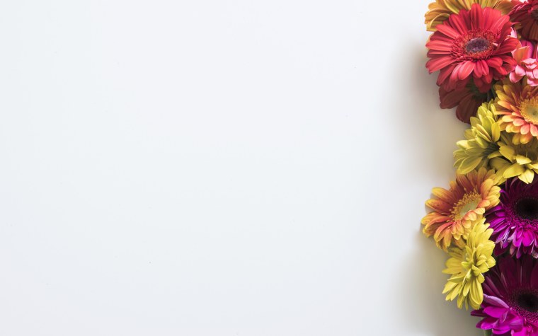 Рамка с герберами