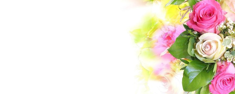 Цветы для подложки