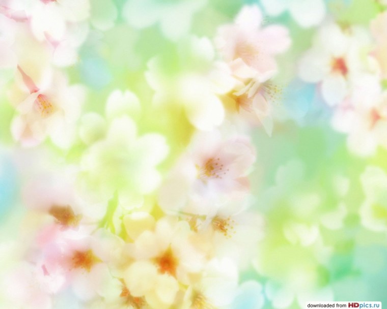 Цветочный фон