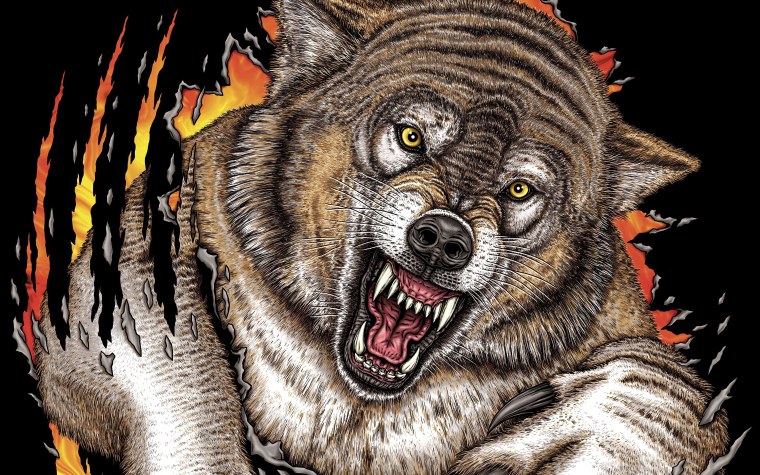 Волчий оскал арт