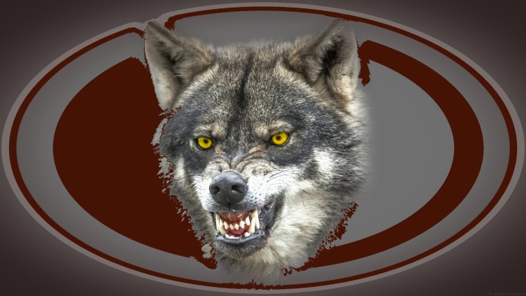 Оскал волка обои