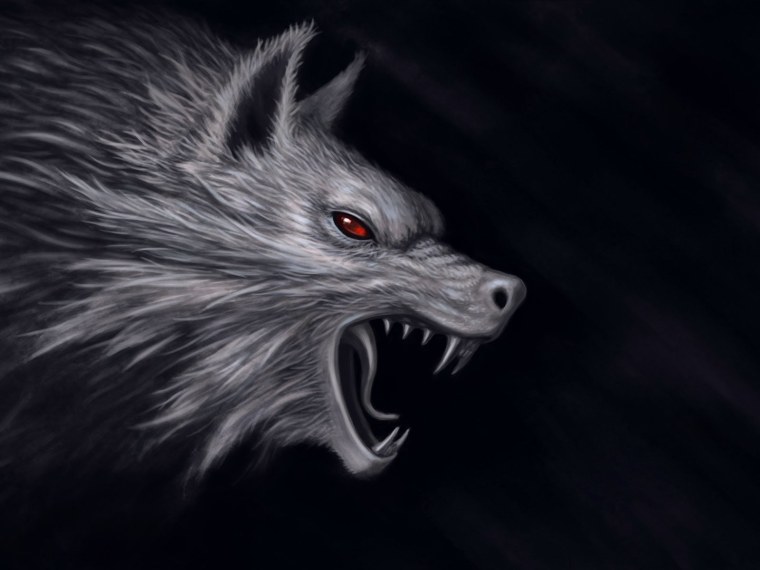 Злой волк на рабочий стол