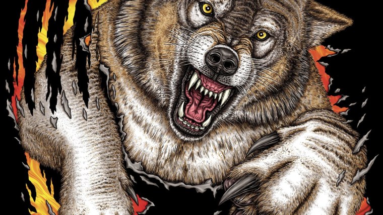 Волк оскал арт