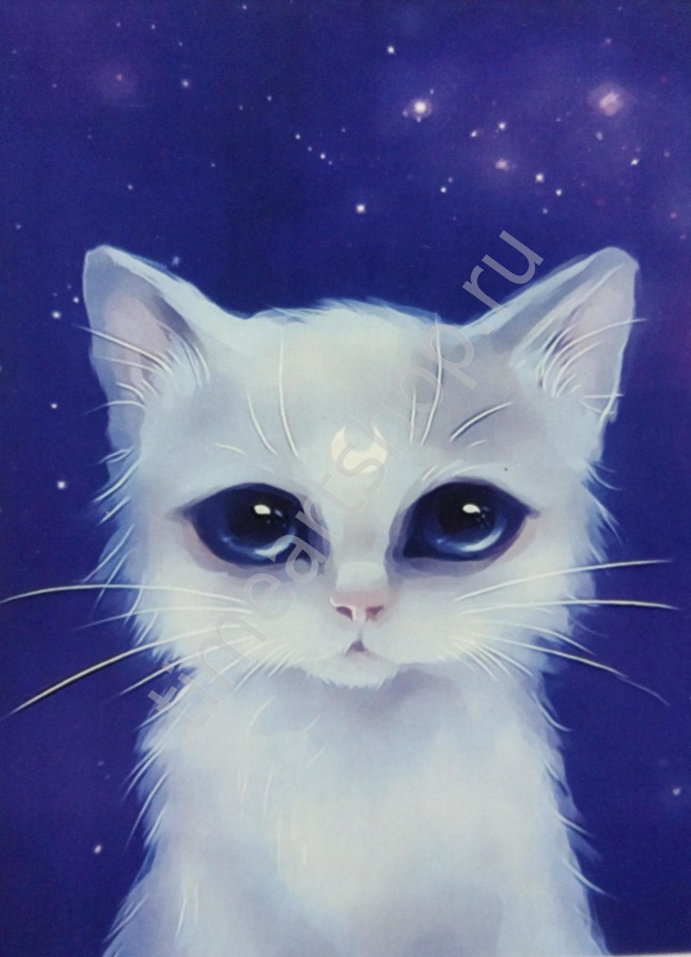 Кот альбинос с красными глазами