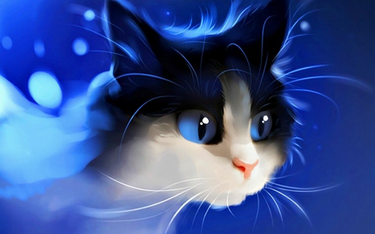 Белая кошка с разными глазами