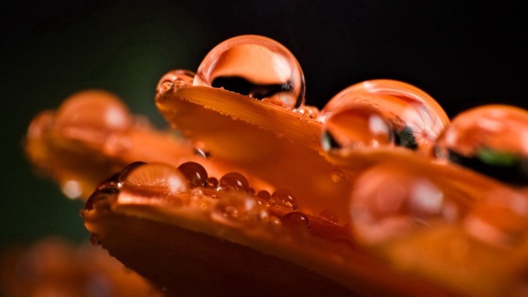 Макросъемка тела