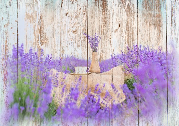 Лаванда фон