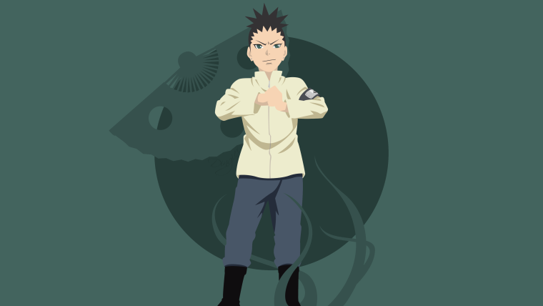 Шикамару Нара фон