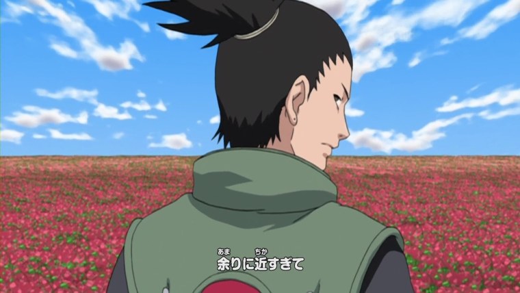 Наруто Шикамару Шино Киба Саске