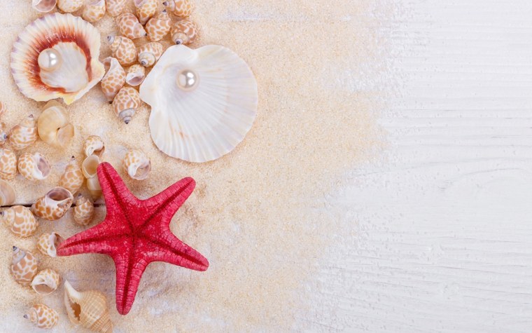 Ракушки на песке